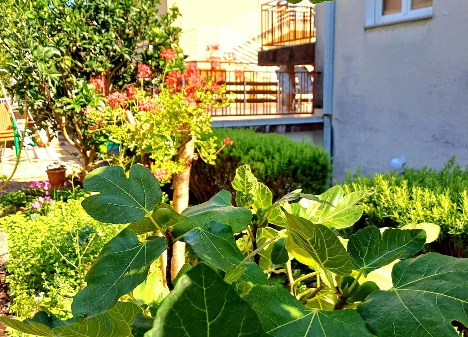 Adria Apartment Crikvenica