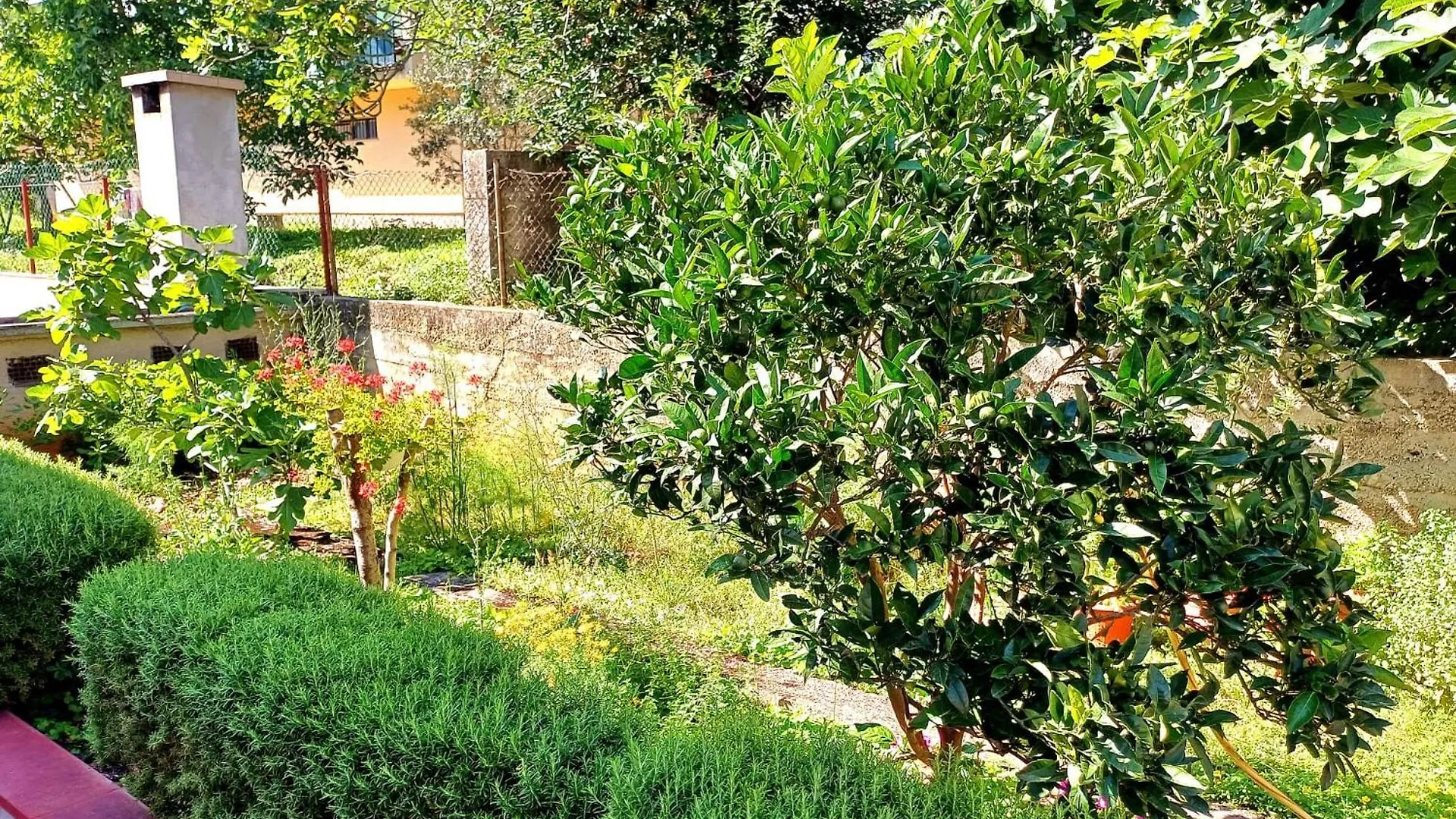 Adria Apartment Crikvenica